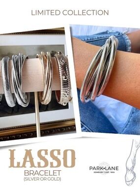 Park Lane “Lasso” Bracelet in Silver! BNIB!